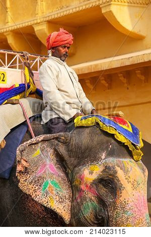 Amber, India - November 13: Unidentified Man Rides Decorated Elephant In Jaleb Chowk In Amber Fort O