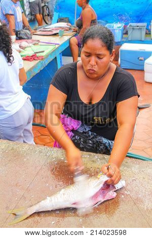Santa Cruz, Ecuador - April 23: Unidentified Woman Cuts Fish In Puerto Ayora On Santa Cruz Island On