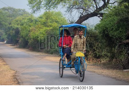 Bharatpur, India - November 11: Unidentified People Ride Cycle Rickshaw In Keoladeo Ghana National P