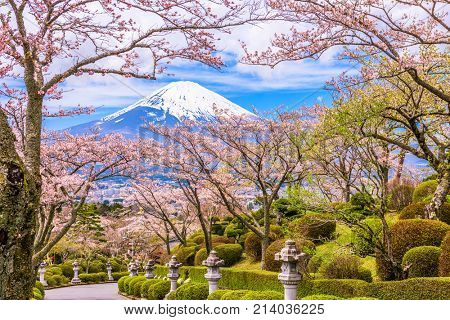 Gotemba City, Japan at Peace Park with Mt. Fuji in spring season.
