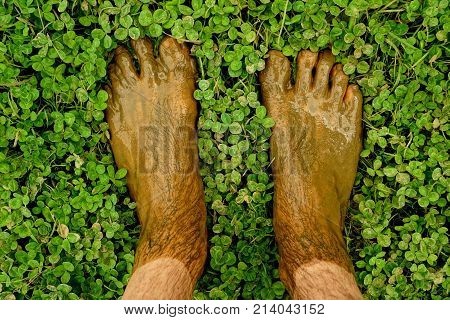 feet full of mud on a grass carpet