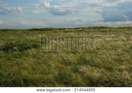 Landscape with summer steppe and cloudy sky