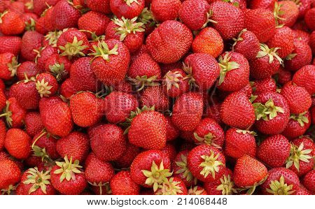 basket summer agriculture strawberry berry closeup diet