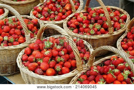 basket summer agriculture strawberry berry closeup diet