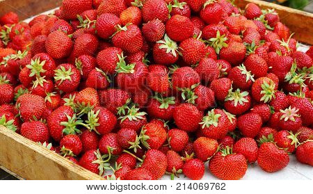 basket summer agriculture strawberry berry closeup diet