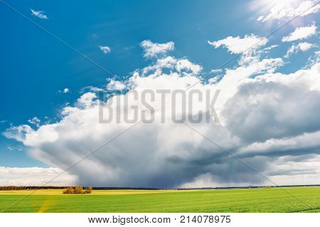 Countryside Rural Field Or Meadow Landscape With Green Grass Under Scenic Spring Blue Dramatic Sky With White Fluffy Clouds. Rain Clouds On Horizon On A Sunny Day. Panorama Of Agricultural Landscape.