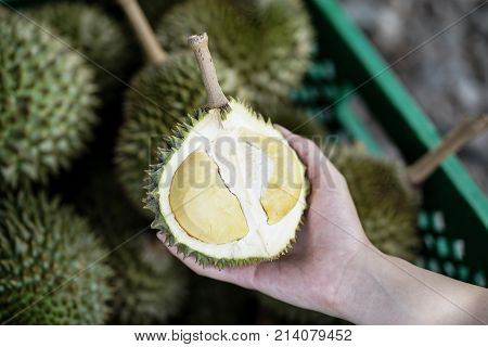 mini Puang Manee durian on woman hand