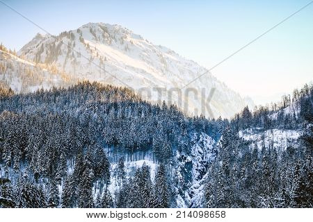 Sunrise in snowy winter mountains and woodland. Allgaeu Alps, Bavaria in Germany.