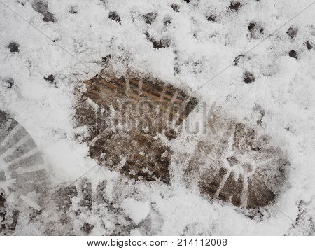 fresh footprint of kid on the sleet snow