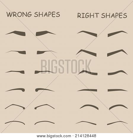 female eyebrows vector elements. How to paint woman eyebrows. Trendy makeup brows scheme. Vector illustration