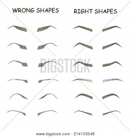 female eyebrows vector elements. How to paint woman eyebrows. Trendy makeup brows scheme. Vector illustration. Wrong and right shapes