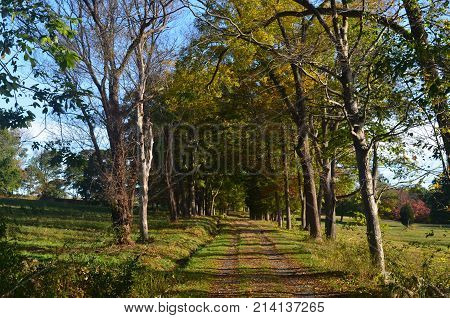 Pretty landscape of worlds end in hingham Massachusetts