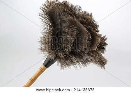 dust whisk in front of white background