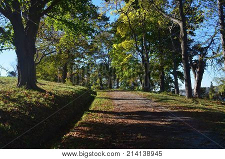 Captivating autumn fall foliage on a furt trail