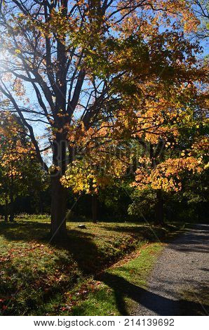 Beautiful worlds end park in Hingham Massachusetts