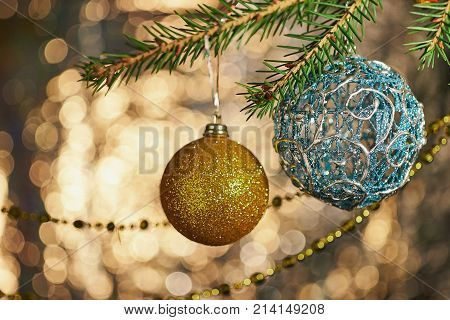 Christmas decoration: the New year's toy ball on a live blue spruce