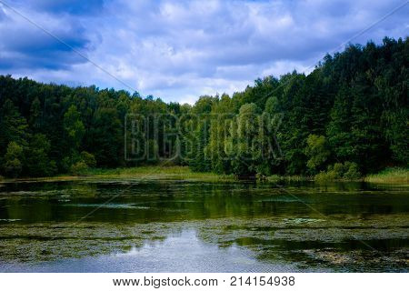 Rural Sunny Water Pond Scene