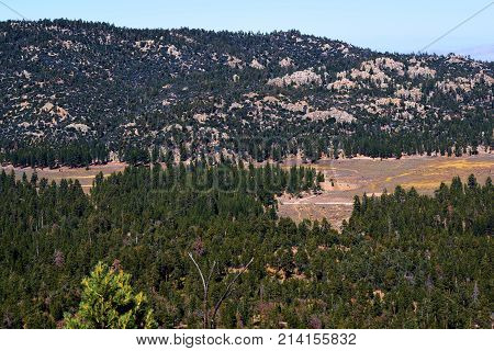 Pine forest and mountains surrounding a rural meadow taken at Holcomb Valley in the San Bernardino Mountains, CA