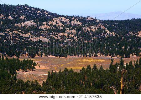 Pine forest and mountains surrounding a rural meadow taken at Holcomb Valley in the San Bernardino Mountains, CA