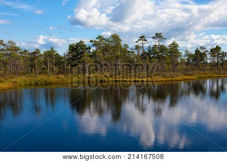 Amazing Lake Landscape In Nigula