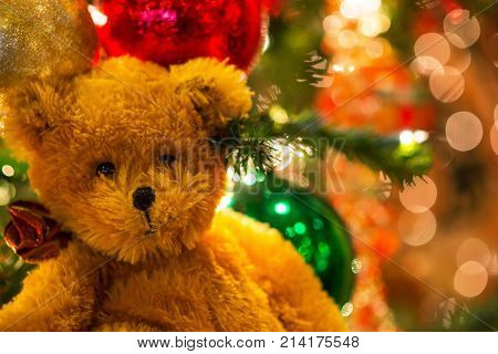 Cute Teddy Bear On Christmas Ornaments