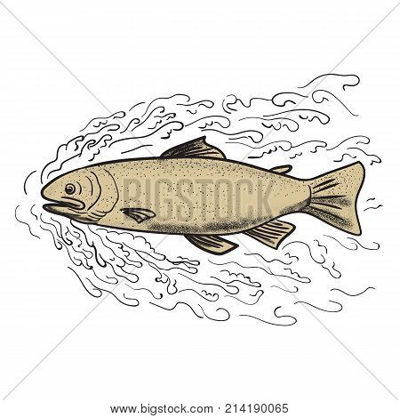 Tattoo style illustration of a brown trout forging ahead through waves on isolated background.