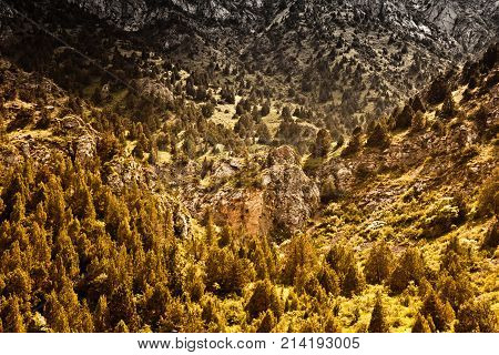 Tien Shan Mountains in the nature . In the park in nature