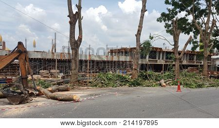 Construction Site Beside Road with Cut Trees in Foreground