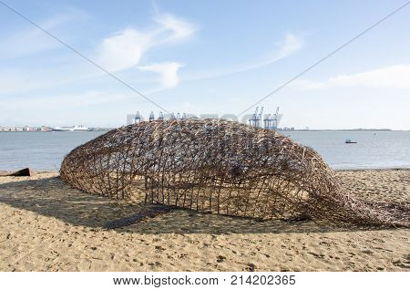Harwich Essex United Kingdom -16 November 2017: Willow Whale statue on beach