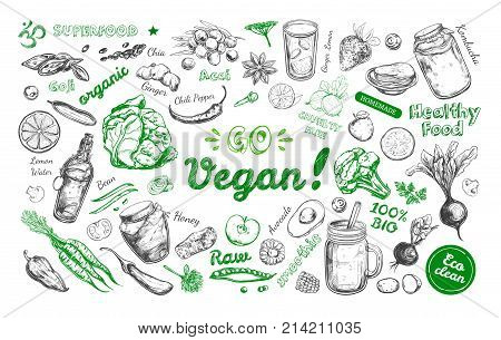 Go vegan. Healthy food. Vegetarian Big Set. Vector hand drawn isolated elements on white. Sketch style