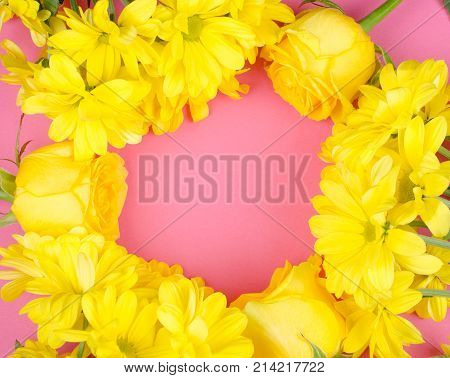 Bright yellow chrysanthemum flowers and roses forming a circle frame on a bright pink paper background copy space in the center for your text (flat lay top view)
