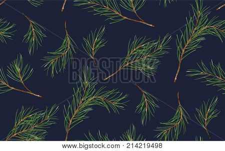 Seamless pattern of Pine Christmas spruce new year tree natural branch green leaf hand drawn botanical print. Vector seasonal wallpaper winter background textile fabric texture design on blueprint. Vector seasonal wallpaper winter bacgkround textile fabri