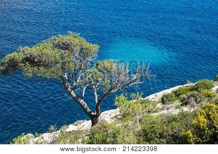 The Calanque de Morgiou one of the biggest calanques located between Marseille and Cassis France