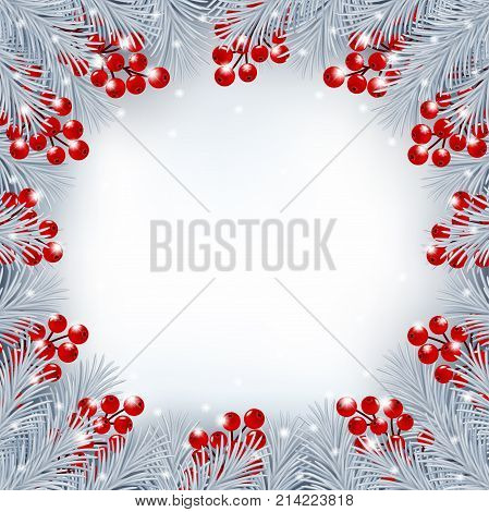 Winter background with silver color fir branches and red holly berries border. Vector illustration