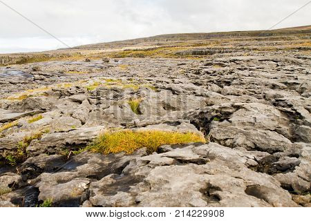 The Burren (in Irish: Boireann - Great Rock) The Karst-landscape Region In West County Clare Ireland