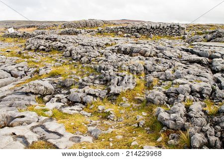 The Burren (in Irish: Boireann - Great Rock) The Karst-landscape Region In West County Clare Ireland
