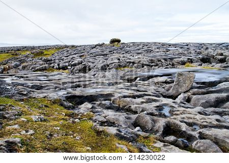 The Burren (in Irish: Boireann - Great Rock) The Karst-landscape Region In West County Clare Ireland