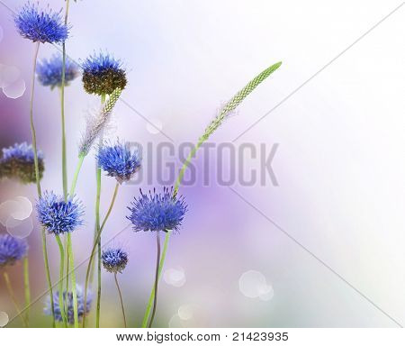Abstraktní květy hranice designu
