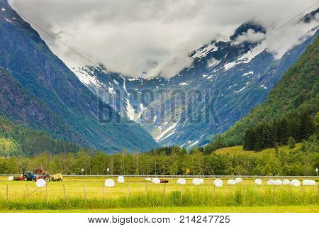 Bale Of Hay Wrapped In Plastic Foil, Norway