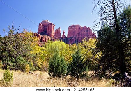 Cathedral Rock, cottonwood trees, sagebrush, evergreens, spruce tree