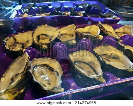 Sydney rock oysters ready to eat on a plate