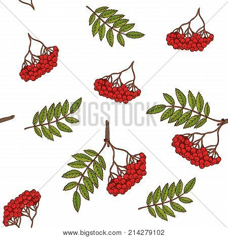Seamless pattern with hand drawn rowan tree branches.