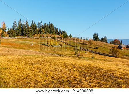 Autumn Carpathian Village, Ukraine.