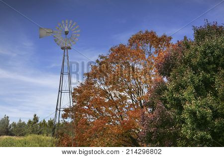 Typical Northamerican Countryside Landscape