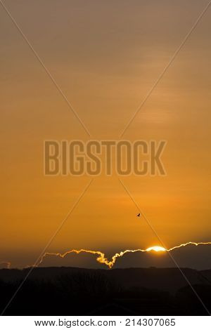 Sunrise with sun pillar over Friston Forest East Sussex. With copy or text space.