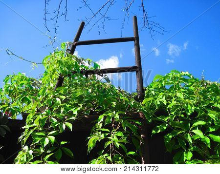 Stairs in the sky. Stairway to Heaven as a symbol or sign of success