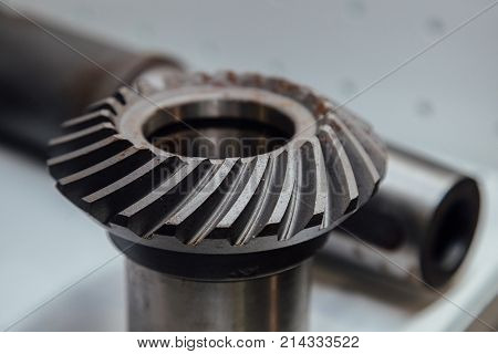 Bevel gear on the shaft, close up view.