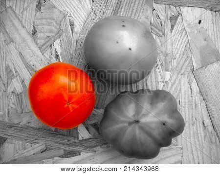 Tomatoes on a table in contrast colors green, red, black and white. Harvest of autumn background or texture for fall theme. Symbol or sign of odds, vary and discrepancy. Flat layout view