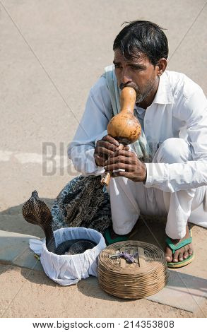 Snake charmer charms or hypnotizes a cobra with a gourd flute street performance in Delhi, India  September 29 2017