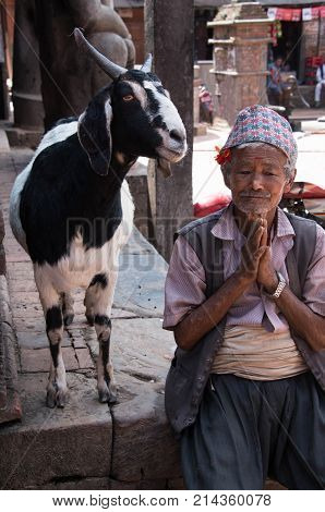 Elderly man with his goat greeting visitors to a courtyard in a Nepalese village Kathmandu, Nepal Oct 02, 2017